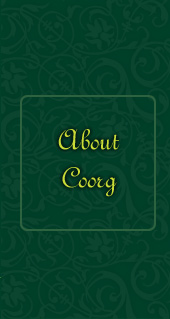 Coorg Homestay/cottages/coffee estate stay Bookings-Team Building camps-Trekkings