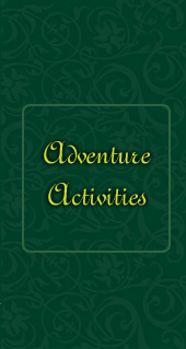 Coorg Homestay/cottages/coffee estate stay Bookings-Team Building camps-Trekkings